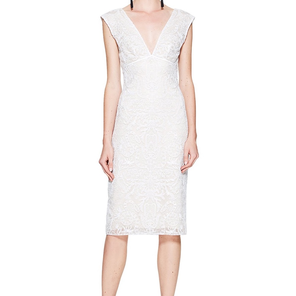 Tadashi Shoji HORTENSE EMBROIDERED DRESS AXH17304M Ivory Petal Size 6